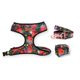 Midnight Floral Bundle - bundle - Sniff & Bark