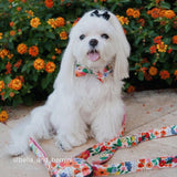 Morning Floral Bowtie Collar & Leash Set - sets - Sniff & Bark