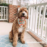 Morning Floral Flower Mega Bundle - bundle - Sniff & Bark