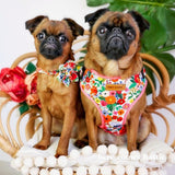 Morning Floral Flower Mega Bundle - bundle - Sniff & Bark