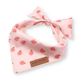 Peach Flower Mega Bundle - bundle - Sniff & Bark