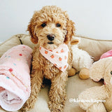 Peach Flower Mega Bundle - bundle - Sniff & Bark