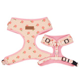 Peach Bow Mega Bundle - bundle - Sniff & Bark