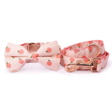 Peach Bowtie Collar & Leash Set - sets - Sniff & Bark