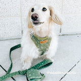 Playground Mega Bundle - bundle - Sniff & Bark