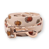 Halloween Pumpkin Bundle - bundle - Sniff & Bark
