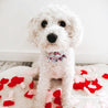 Puppy Love Flower Collar & Leash Set - sets - Sniff & Bark