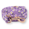 Purple Daisy Bowtie Collar & Leash Set - sets - Sniff & Bark