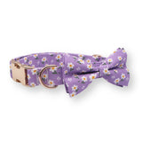 Purple Daisy Bowtie Collar & Leash Set - sets - Sniff & Bark