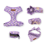 Purple Daisy Flower Mega Bundle - bundle - Sniff & Bark