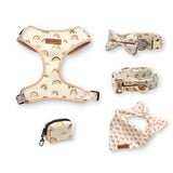 Rainbows Bow Mega Bundle - bundle - Sniff & Bark