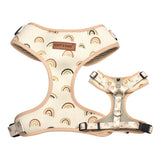Rainbows Bow Mega Bundle - bundle - Sniff & Bark