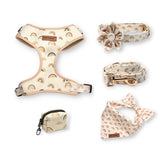 Rainbows Flower Mega Bundle - bundle - Sniff & Bark
