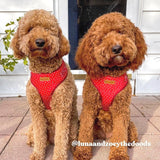 Red Polka Dot Mega Bundle - bundle - Sniff & Bark