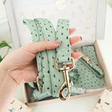 Stars Bowtie Collar & Leash Set - sets - Sniff & Bark