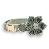 Stars Flower Collar - collars - Sniff & Bark
