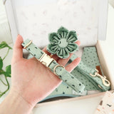 Stars Flower Collar & Leash Set - sets - Sniff & Bark