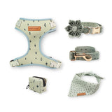 Stars Flower Mega Bundle - bundle - Sniff & Bark