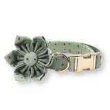 Stars Flower Mega Bundle - bundle - Sniff & Bark