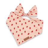 Strawberry Flower Mega Bundle - bundle - Sniff & Bark