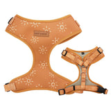 Suns Bow Mega Bundle - bundle - Sniff & Bark