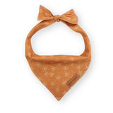 Suns Bow Mega Bundle - bundle - Sniff & Bark