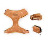 Suns Bundle - bundle - Sniff & Bark