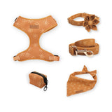 Suns Flower Mega Bundle - bundle - Sniff & Bark