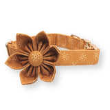 Suns Flower Mega Bundle - bundle - Sniff & Bark