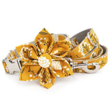wedding dog collar and leash set