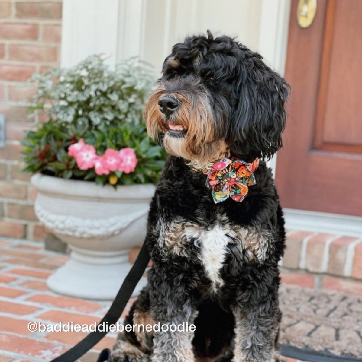 dog flower collar wedding - dog collar with flowers for wedding - flower collar for dog
